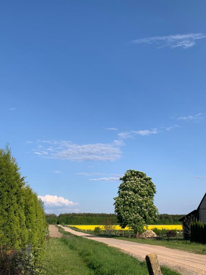 Siedlisko Glinnik エクステリア 写真